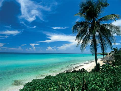 Best Beaches In Cuba