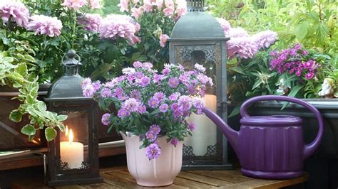 Purple roses can mean love at first sight. What Does Purple Represent in Home Decor? - Funk'N Color