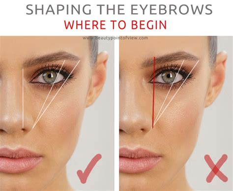 How To Find Eyebrow Arch Eyebrowshaper