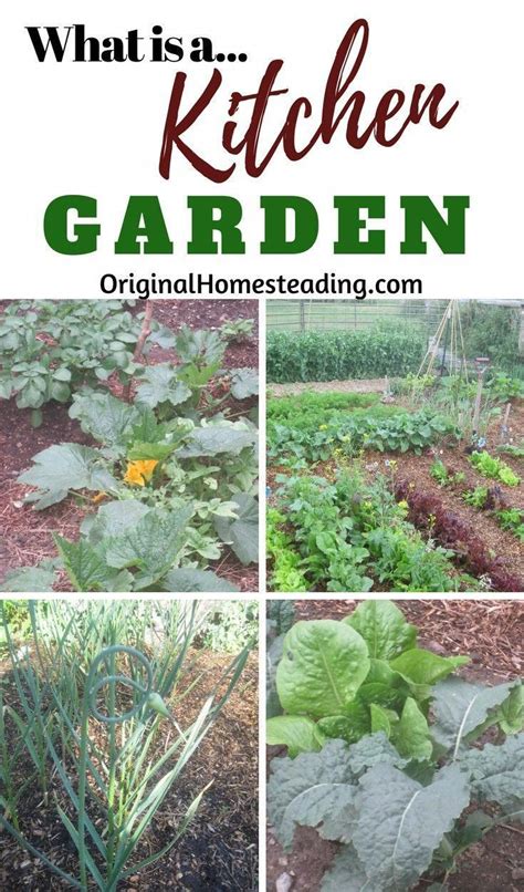 What Is A Kitchen Gardenread More To Find Out How To Start Your