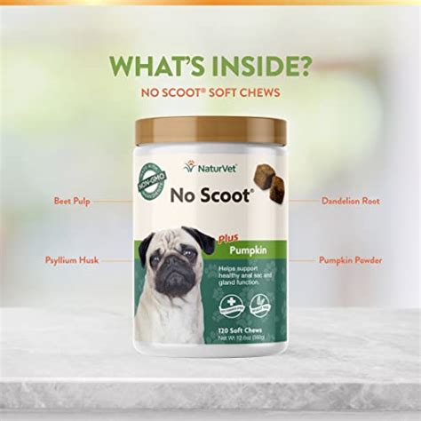 Naturvet No Scoot For Dogs 120 Soft Chews Plus Pumpkin Supports