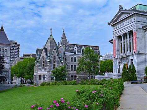 Top University In Canada A Guide To Mcgill University