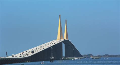 The collision ripped over 1,300 feet of bridge and road from its suspensions. Sunshine Skyway Bridge- A virtual drive & History | Sunshine skyway bridge, Skyway, Scenic drive