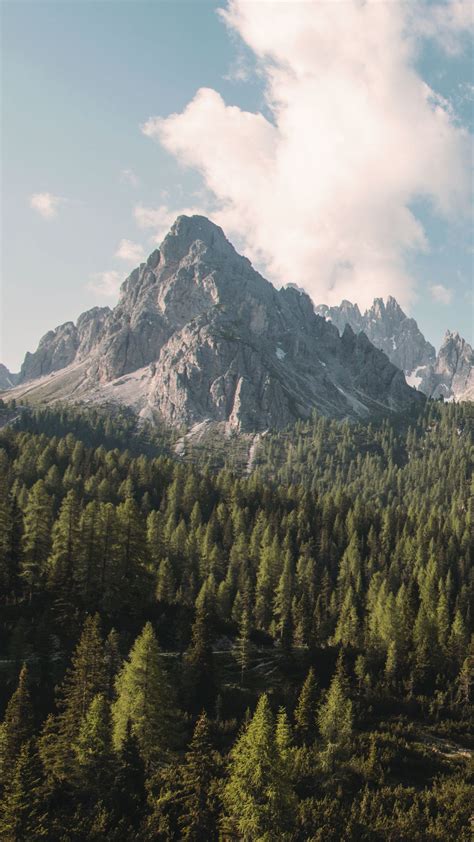 Download Wallpaper 1350x2400 Mountain Rock Trees Forest Landscape