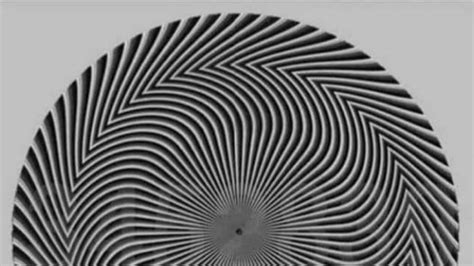 This Optical Illusion With Changing Numbers Is Making People Do A