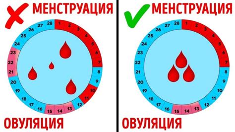 Période Menstruelle Tardive Ou Manquée Copyright © 2023