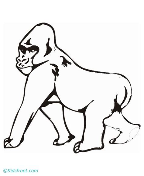 This is especially true when it comes to coloring and drawing. Gorilla Coloring Pages - Coloring Home