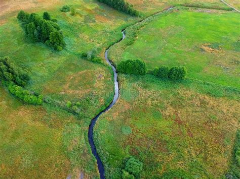 River Flows Through The Green Meadow With Trees Aerial View Stock