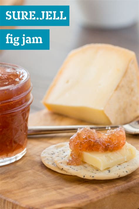 Fresh Fig Freezer Jam Recipe Newbritawaterchiller