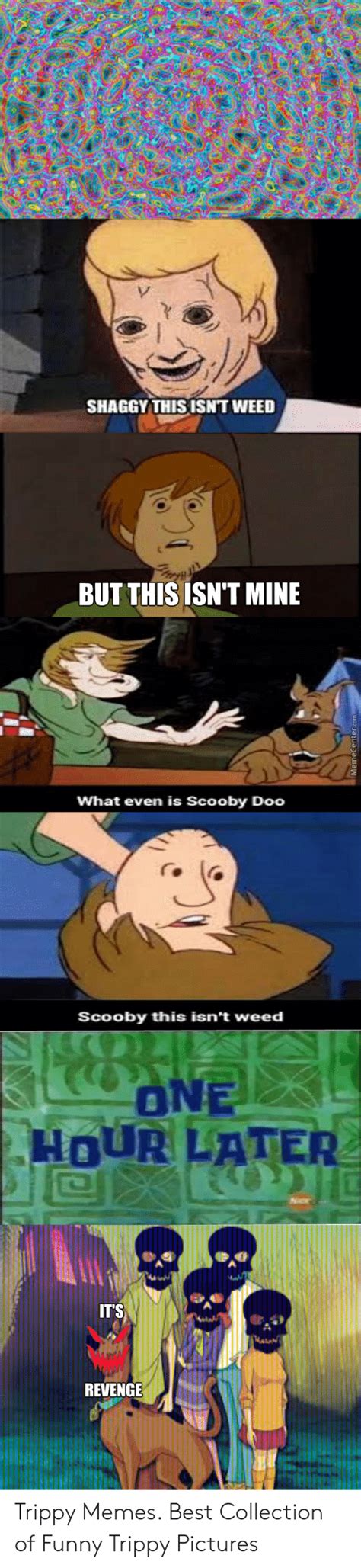 Shaggy This Isnt Weed But This Isnt Mine What Even Is Scooby Doo