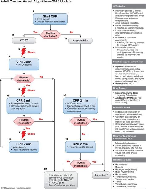 This is 2020 acls cardiac arrest algorithm by cape cod cpr on vimeo, the home for high quality videos and the people who love them. Important Algorithms - First10EM