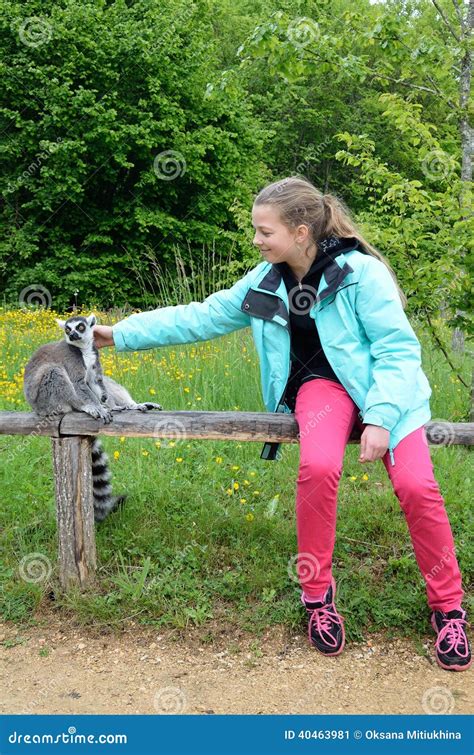 A Girl Near The Tame Lemur Stock Image Image Of Mammal 40463981