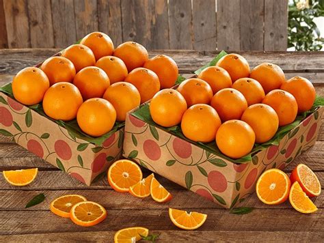 Two Shipments Of Navel Oranges