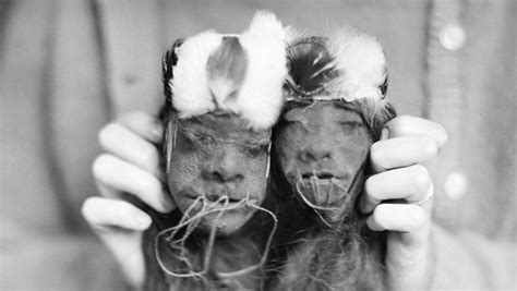 The Weird Wild Business Of Shrunken Heads