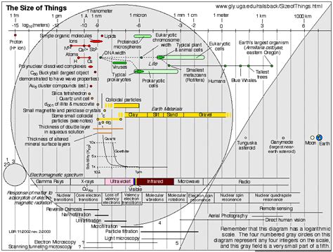 The study of cells is called cell biology. Size of things (logarithmic scale) by Bruce Railsback ...