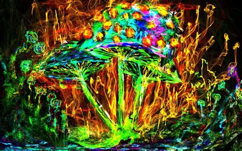 hintergrundbilder bunt malerei pilz psychedelisch dschungel kunst licht blume 1280x800