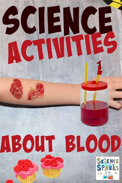 Science Activities About Blood Laptrinhx News