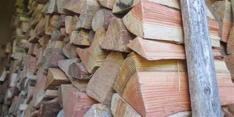 We did not find results for: How to identify doug fir | Page 2 | Firewood Hoarders Club