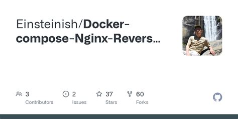 GitHub Einsteinish Docker Compose Nginx Reverse Proxy