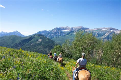 Trail Riding In The Utah Mountains With Images Trail Riding