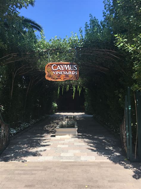 California drops restrictions, fully reopens. California Vineyard Drops Lawsuit After State Issues ...