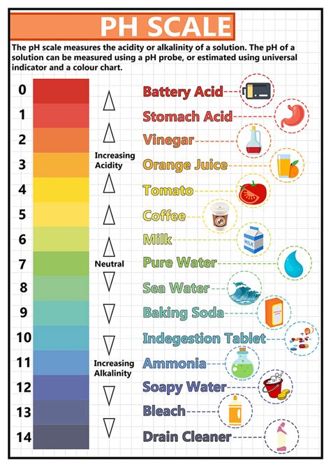 Gcse Science Ph Scale Educational Poster Size A2 In 2020 Gcse