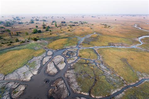 Aerial Survey of Kafue National Park Suggests Great Progress in the Fight for Conservation - The 