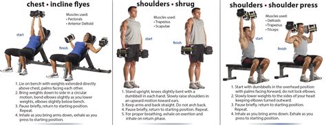 Upper Body Dumbbell Exercises Inspirational Stories