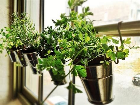 18 Creative And Easy Diy Indoor Herb Garden Ideas