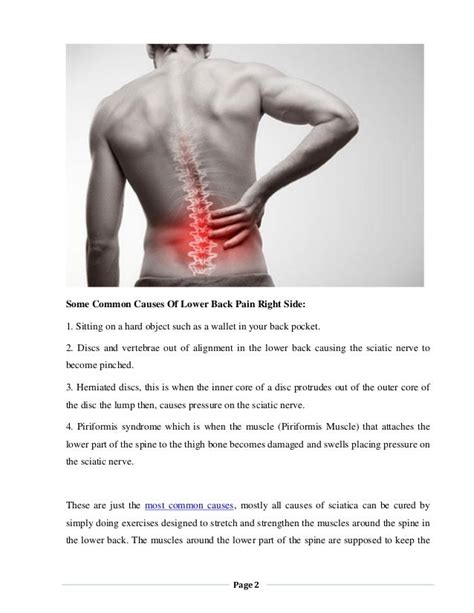 Organs In Lower Back Right Side Upper Left Back Pain Causes And