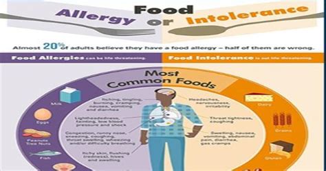 Food Allergy Or Intolerance Infographic Infographics