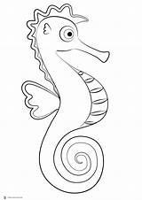 Seahorse Caballito Caballitos Hippocampe Dibujar Coloreardibujosgratis sketch template