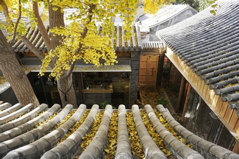 Art Of The Chinese Courtyard Respectful Renovations Keep Hutongs Alive
