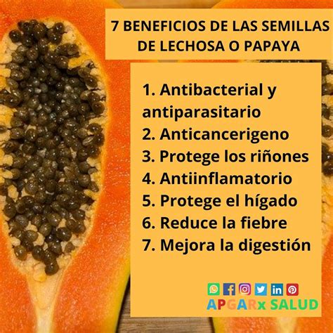Beneficios De La Semillas De La Papaya Fruit Food Cantaloupe