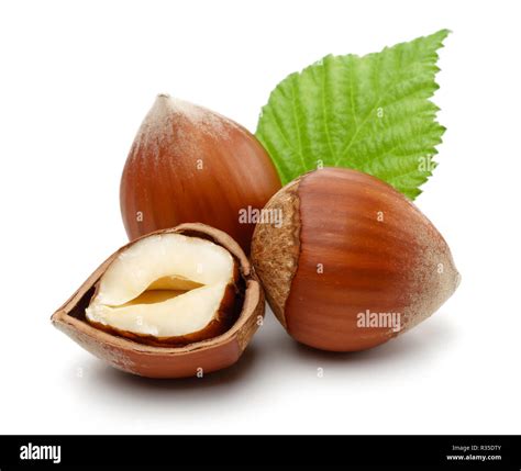Hazelnuts With Green Leaf Isolated On White Background Stock Photo Alamy