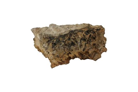 Phosphate Mineral Rock Isolated On White Background Stock Image
