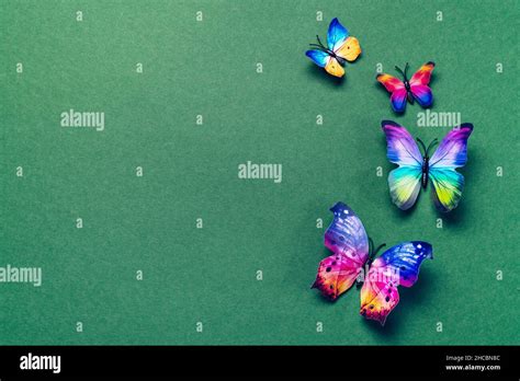Rainbow Butterflies Hi Res Stock Photography And Images Alamy
