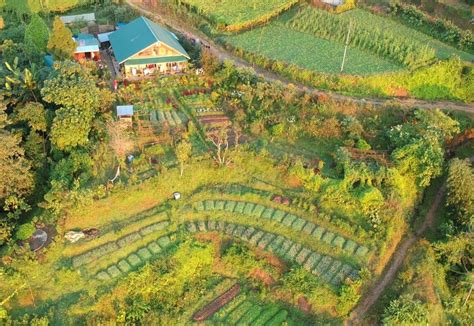 Permaculture Stricken By Drought Years Ago A Nepal Village Comes Back