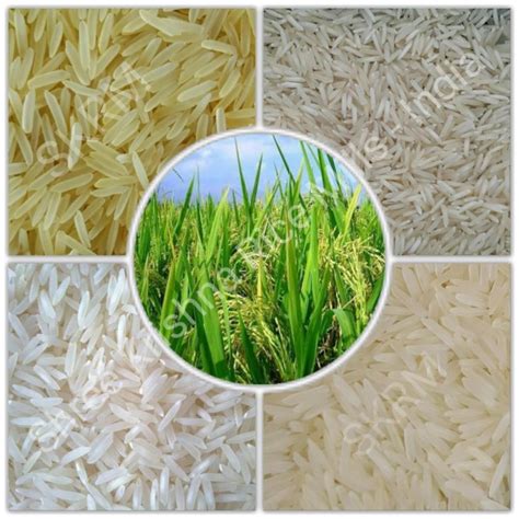 Get latest info on basmati rice, basmati, indian basmati rice, suppliers, manufacturers, wholesalers, traders, wholesale suppliers with basmati rice prices for buying. SKRM - Indian Rice Supplier, Basmati Rice, Long Grain Rice ...