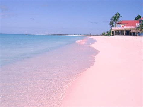 Nas Bahamas Na Harbour Island A Pink Sand Beach Ganha Destaque Como