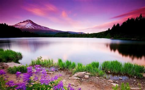 Lake Of Heaven Nature Scenery Wallpaper 2560x1600 Download