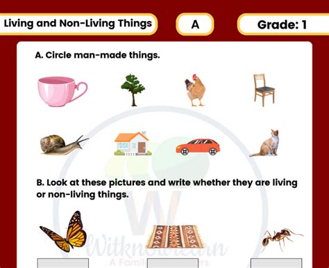 Fun And Engaging Living And Non Living Things Worksheet For Class 1 Kids