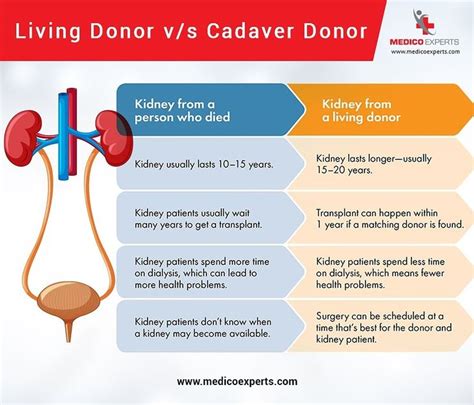 Kidneytransplantation Living Donor Vs Cadaver Donor To Know More