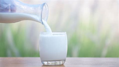 Cewek cantik ngajakin minum susu. Kapan Waktu Terbaik Minum Susu, Pagi atau Malam Hari?