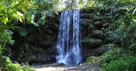 7 Gorgeous Secret Waterfalls In Florida With Photos Trips To Discover