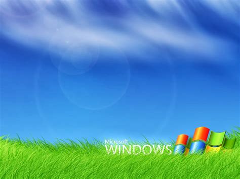 Free Download Microsoft Windows Wallpaper Free Wallpaper Screensaver
