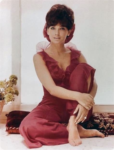 suzanne pleshette looking beautiful as usual suzanne pleshette old hollywood stars hollywood