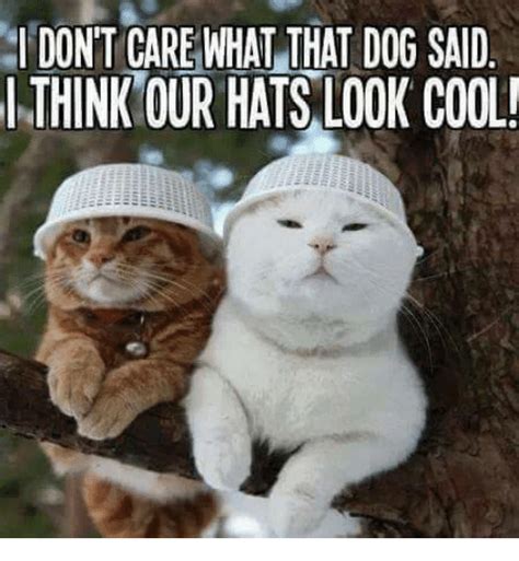 I Dont Care What That Dog Said Think Our Hats Look Cool Dogs Meme