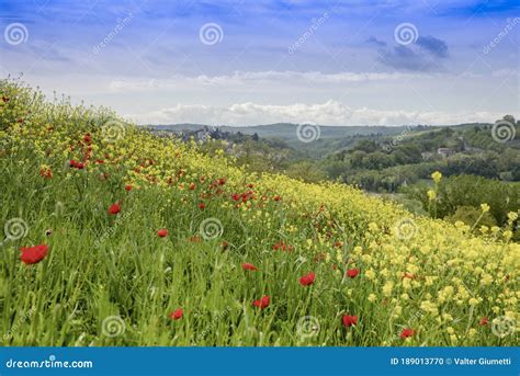 Flowery Hill In The Foreground With Yellow Flowers And Poppies In The