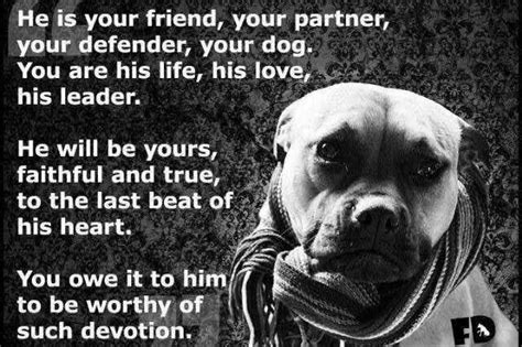 Be Worthy Pitbull Quotes Dog Quotes Funny Dog Quotes
